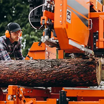 tree arbor sydney about1